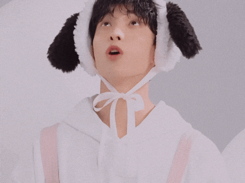 Dk 세븐틴 GIF
