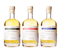 Travel Discover Sticker by Citygin