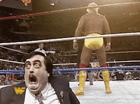 Hulk Hogan Sport GIF by WWE
