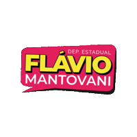 flaviomantovaniooficial flaviomantovani deputadoflaviomantovani Sticker