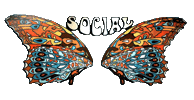 UptownSocialCHS party social butterfly charleston Sticker