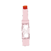 Lip Rouge Sticker by CANMAKE TOKYO