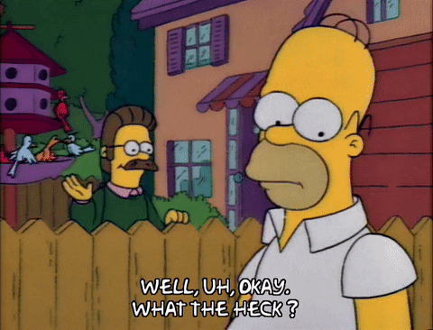 Season 2 Episode 6 GIF by The Simpsons
