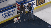 GIF by Milwaukee Admirals