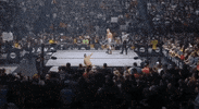 The Elite ÄEw GIF by All Elite Wrestling on TNT
