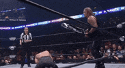 Chris Jericho ÄEw GIF by All Elite Wrestling on TNT