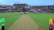 Cricket GIF by The Hundred