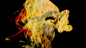 chadvangaalen animation sub pop subpop chad vangaalen GIF