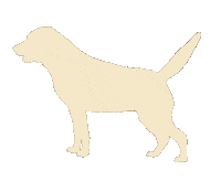 rogueartlab dog excited happy dog labrador Sticker