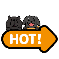 Arrow Sticker by YajuWholeHouse