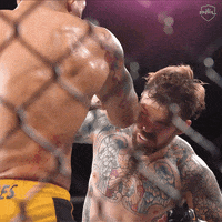 pflmma punch pfl pfl mma sean oconnell GIF