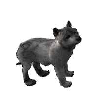 wolf STICKER