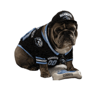Utah Mammoth Sticker