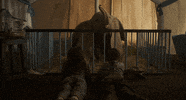 dumbo GIF by Walt Disney Studios