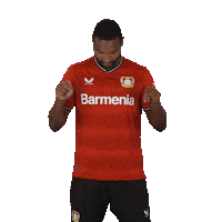 Football Look Down Sticker by Bayer 04 Leverkusen