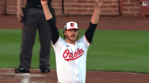 Celebrate Major League Baseball GIF by MLB