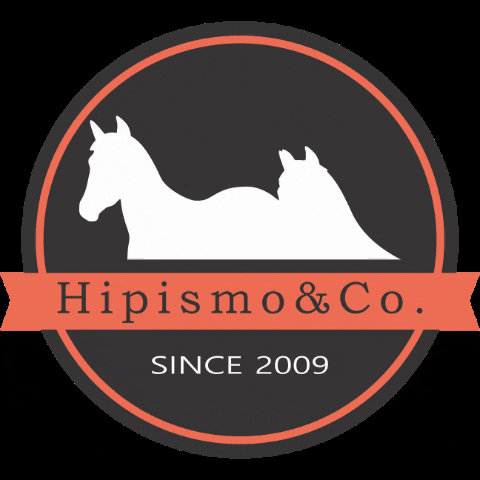 JotaDesign giphygifmaker cavalo hipismo hipismoeco GIF