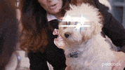 Dog GIF by PeacockTV