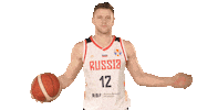 fiba basketball world cup russia Sticker