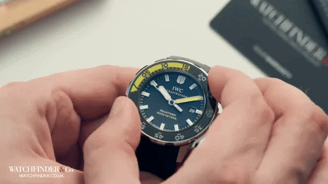 whichwatchnext giphyupload GIF