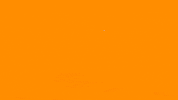 Love GIF by systaime