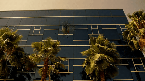 lethal weapon GIF by Fox TV