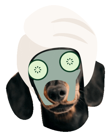 abigailjamesskincare dog beauty skincare facial Sticker