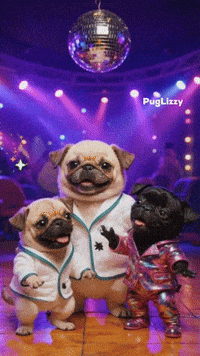 Dance Party GIF