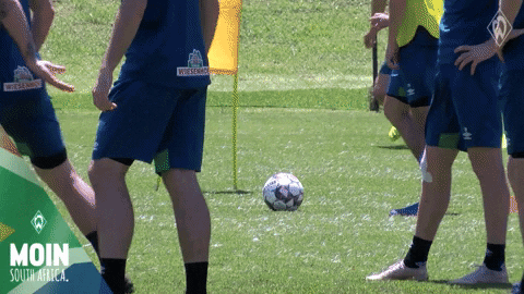 GIF by SV Werder Bremen
