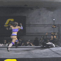 Ppd Hip Attack GIF