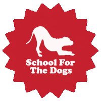 Sftd Sticker by SchoolForTheDogs