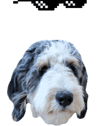 Dog Puppy Sticker