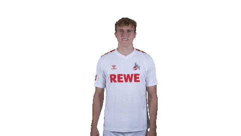 1 Fc Cologne Football Sticker by 1. FC Köln