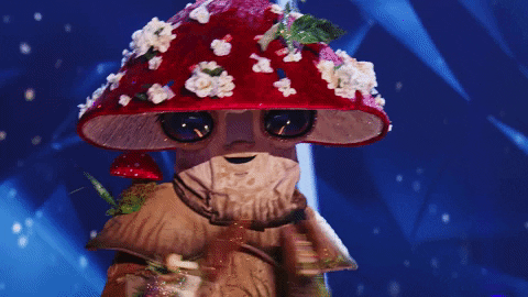 Mushroom Bows GIF by The Masked Singer