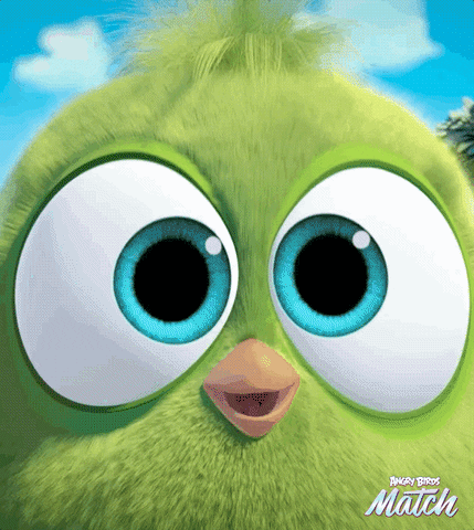 monday lol GIF by Angry Birds
