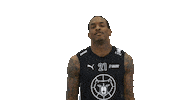 Sport Basketball Sticker by Basket_fi