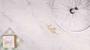 project springtime GIF by evite
