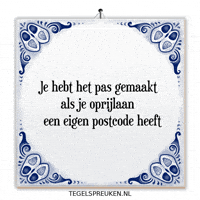 Humor Nl GIF by Tegelspreuken.nl