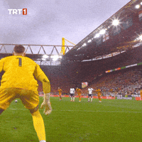 Euro 2024 Win GIF by TRT