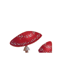 Shrooms Sticker