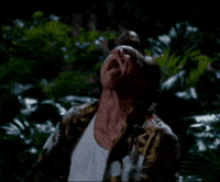 Jim Carrey Africa GIF