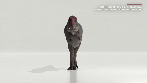 kOTTR giphyupload GIF