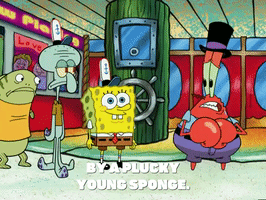 season 6 penny foolish GIF by SpongeBob SquarePants