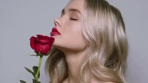 AmarHamadi giphyupload GIF