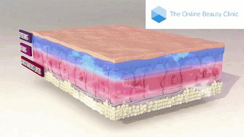 CaviBeauty giphyupload GIF