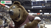 missouri state ncaa GIF by Missouri Valley Conference