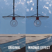 perot museum dallas GIF by Harlem Globetrotters