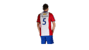 Svp9 Sticker by De Kaascoman