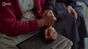 Episode 7 Smile GIF by PBS