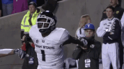 usu GIF by USUAthletics